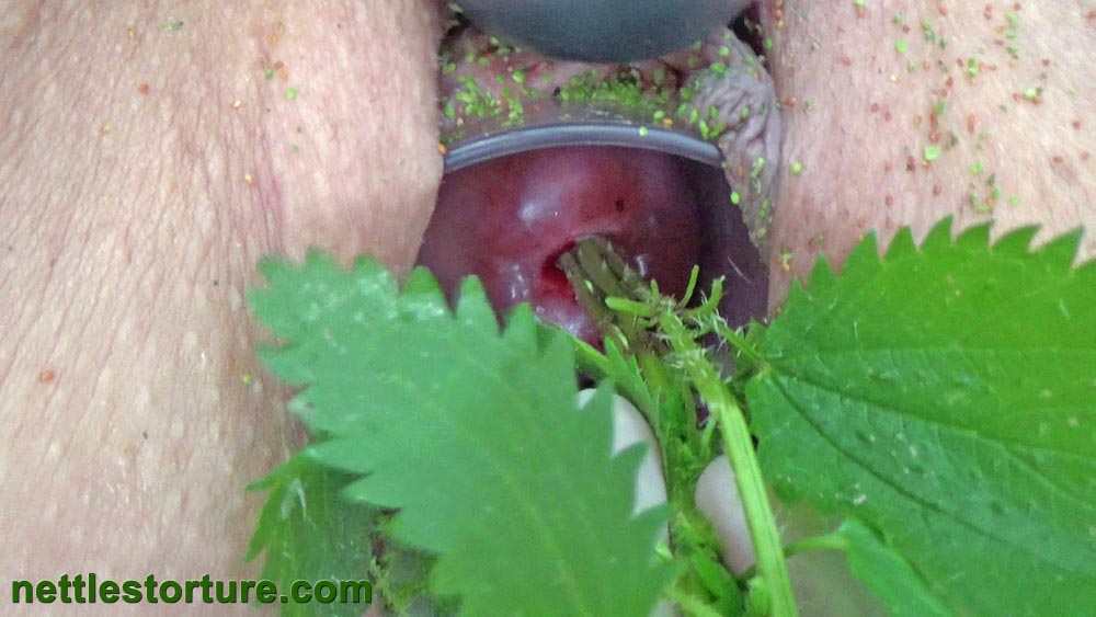 Female cervix play with stinging nettles